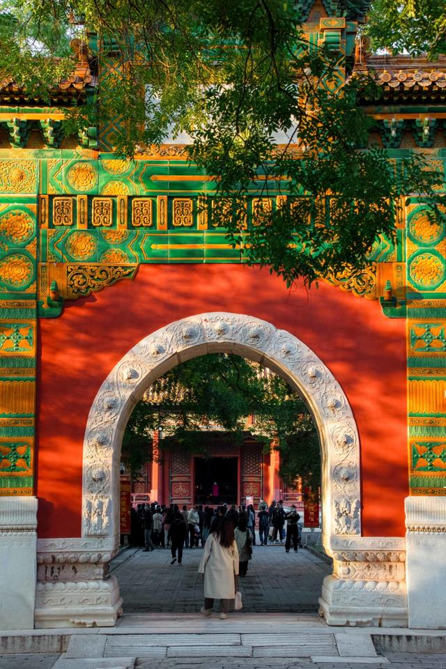 北京最爱的秋日清幽之地，曾经最高学府国子监，金黄的银杏美爆了