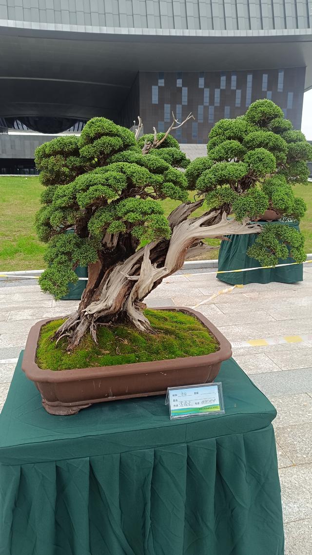 洛阳伊滨花境园缤纷世界等你来