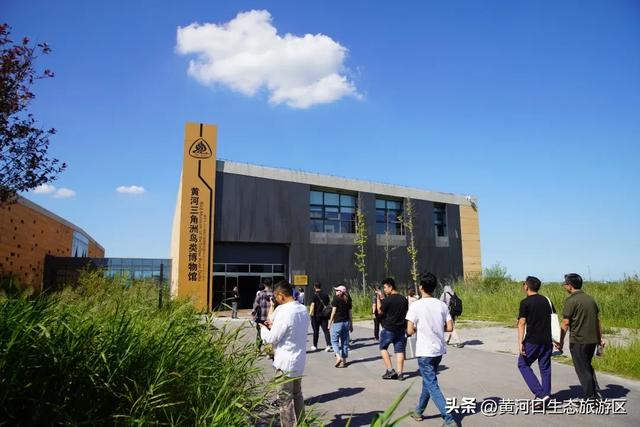【黄河口生态旅游区】今日立秋