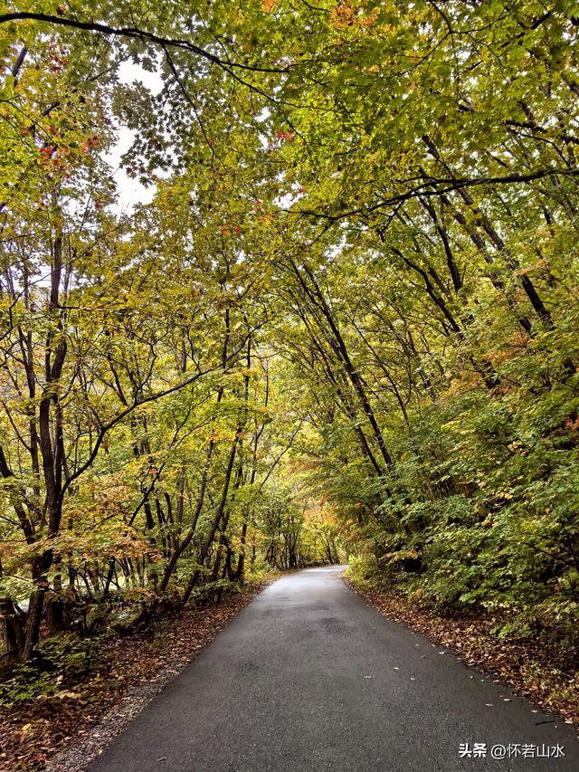 2025辽宁赏秋之旅日记(2)——游览丹东蒲石河森林公园