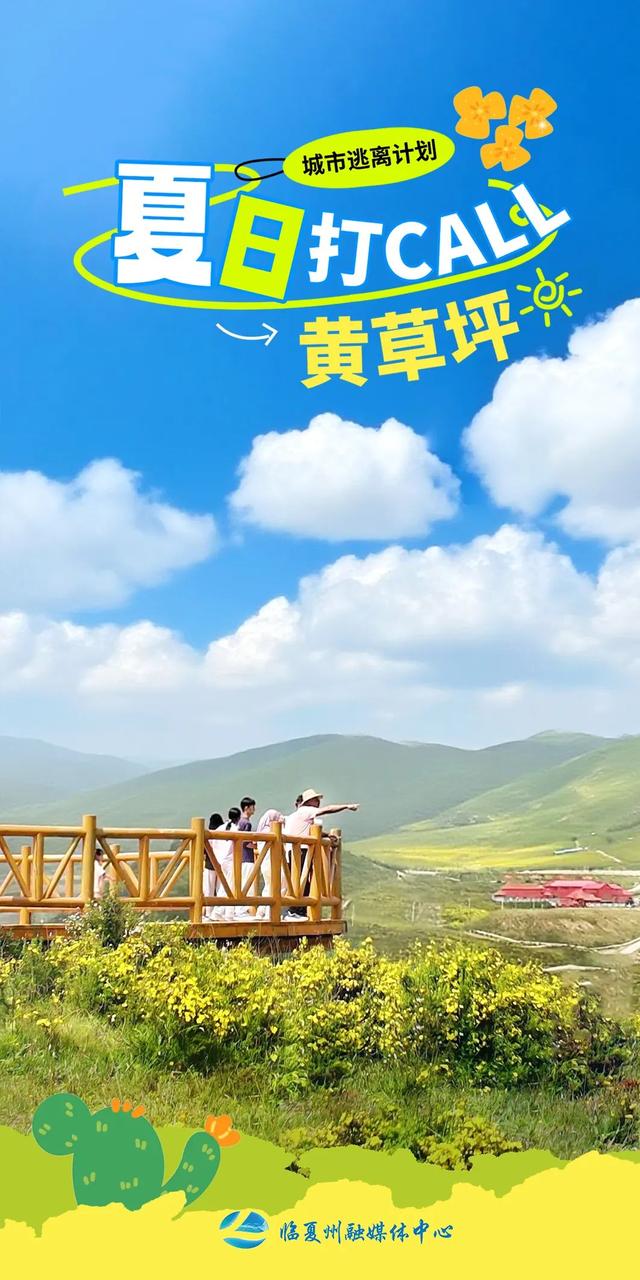海报｜夏日，奔赴那片黄草坪