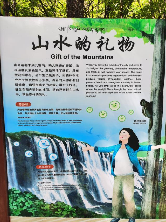 黄龙、九寨、都江堰随记Day3九寨归来不看水