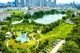 苏州姑苏区：看古城里家门口的公园，“绿”动不停！图片