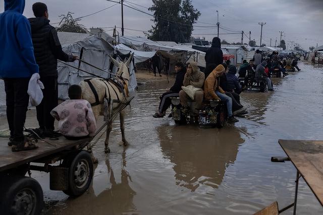 停火后的新灾难:帐篷倒塌	、污水倒灌,暴雨让加沙帐篷营地不堪一击