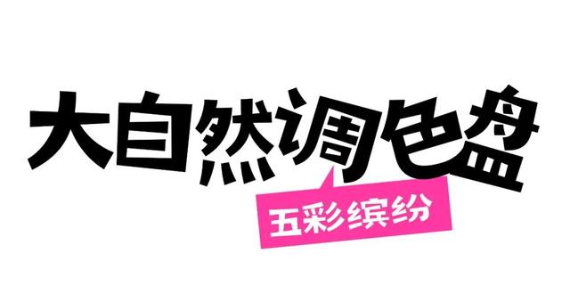 田曦薇、胡一天打卡西海岸！约你来玩！
