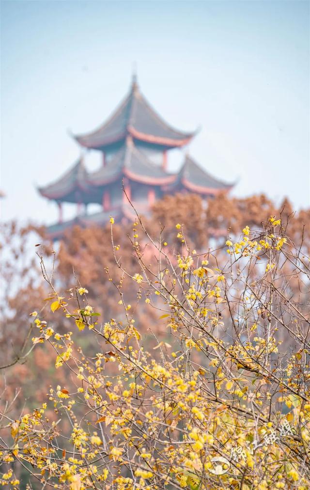 这一波是真香了！