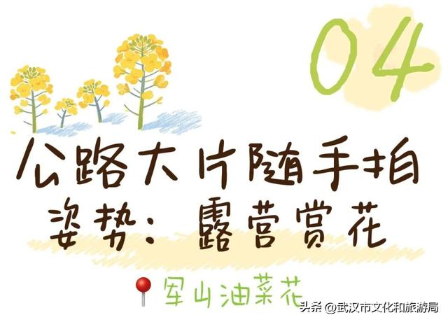 武汉春天最壮观的花海，全城盛开！