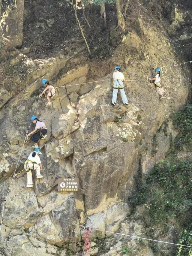 追梦老顽童戴树民：有一个地方叫“湖洋”