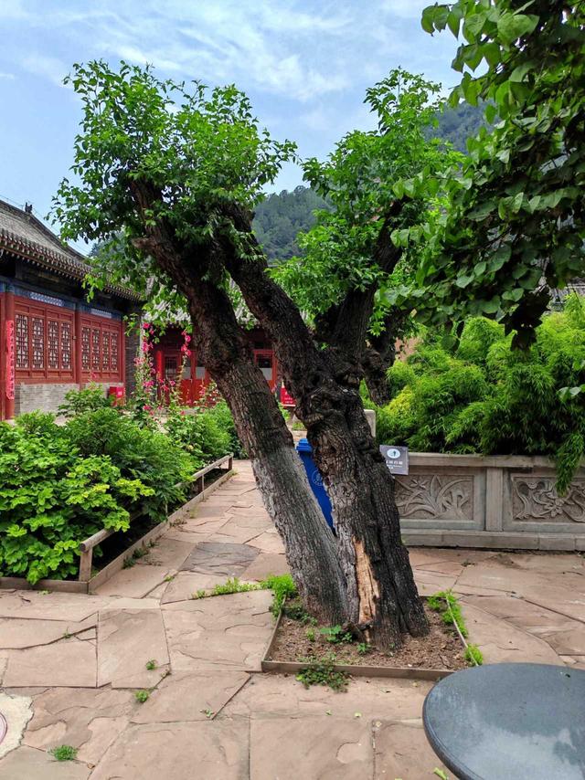 交城玄中寺——日本净土宗祖庭