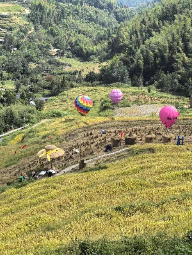 追梦老顽童戴树民：有一个地方叫“湖洋”