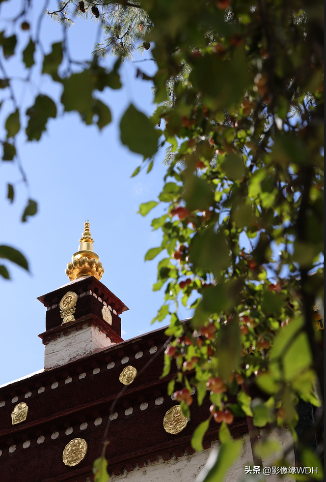 摄影掌握这5个框架构图法，手机也能拍出大片感