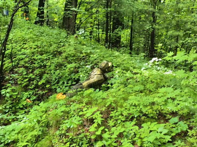 打卡G334敦化段红色地标：寒葱岭密营，揭开东北最硬核的抗日往事