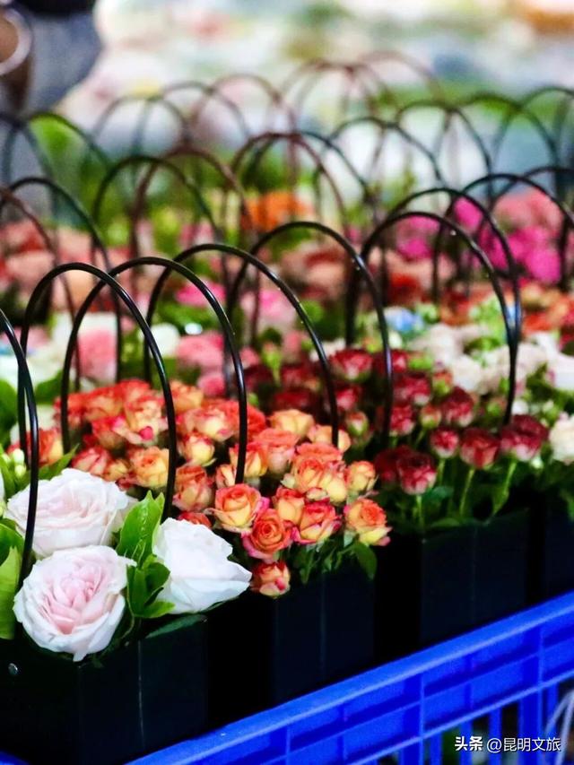 假期最后一天，留给斗南！好吗？把新年浪漫打包回家！