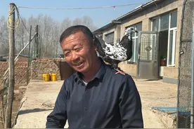 乌兰哈达镇路志勇：元宝鸽“飞”出红火好日子图片