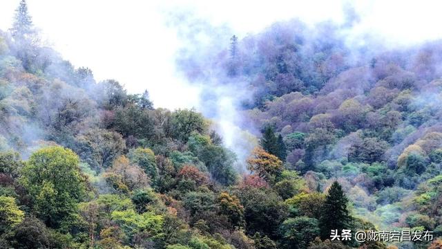 烟雨官鹅：国庆里的一轴流动水墨