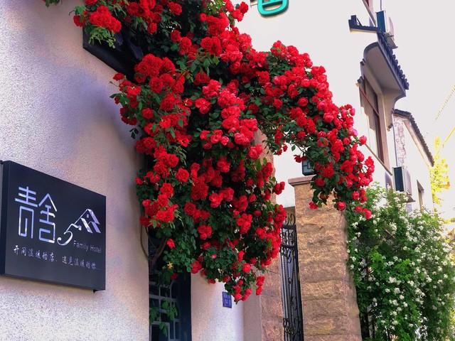 北京人去了趟杭州和宁波，直言不讳：杭州和宁波人气质截然不同！