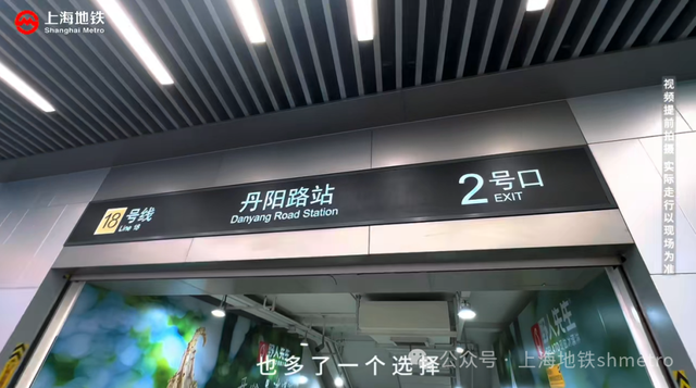 上海这座小岛变身，本周末预计10万人涌入！部分道路临时交通管制，登岛攻略