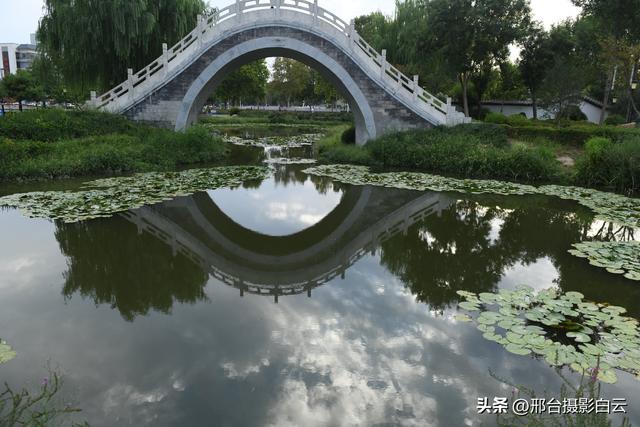 五一桥公园：藏在城市里的江南梦境