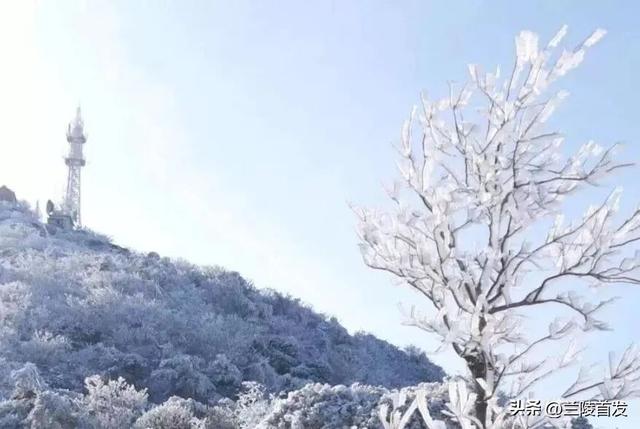 好客山东好品山东｜初雪来了！山东变山“冬”