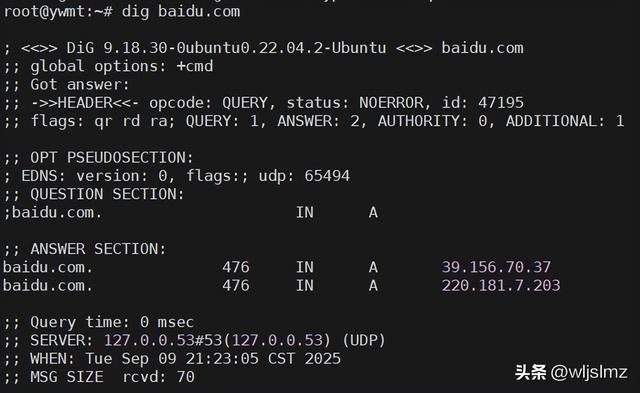 如何在 Linux 中检查 DNS 服务器 IP 地址？