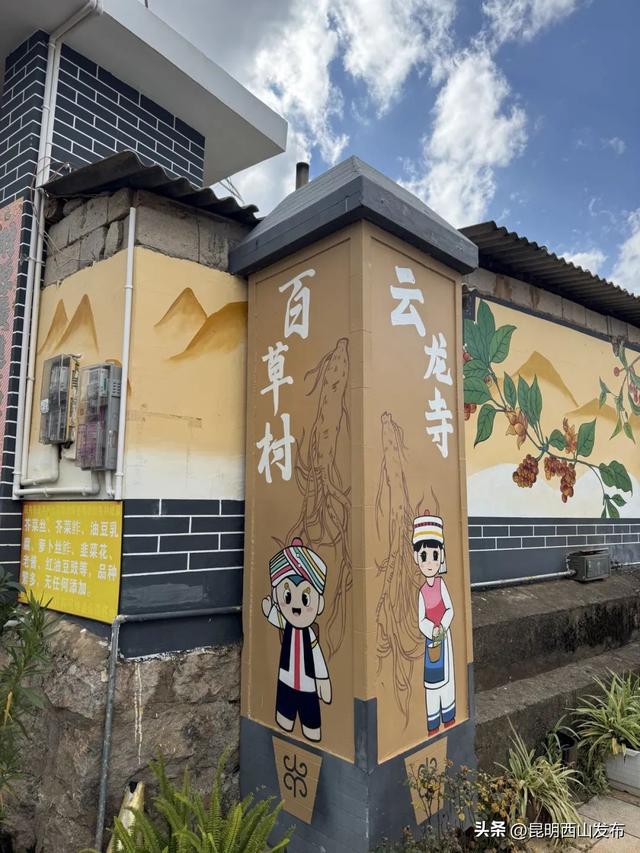 滇池畔小众村落：杨林港——观音山——百草村一日游！