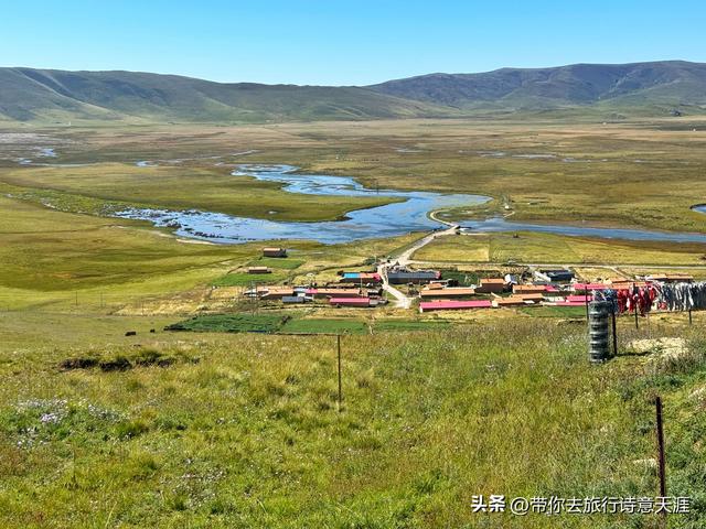 甘南郭莽湿地的野生自然风光
