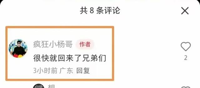 小杨哥和三只羊复出消息竟是乌龙？真相让人意外！
