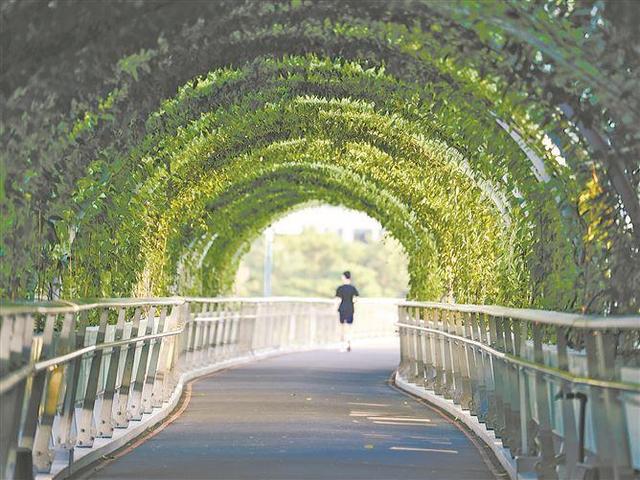 盛夏多巴胺 打卡一“厦”