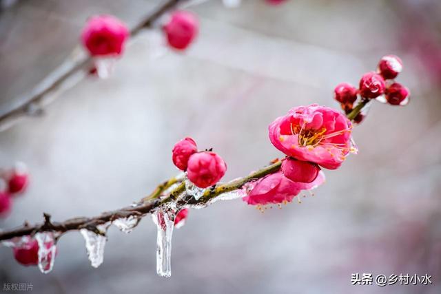 今冬最冷时间表出炉了，啥时候最冷？2026年春节冷不冷？早了解