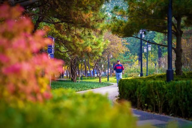 全龄友好,四季皆景!皇城根遗址公园焕新升级,超多美图→