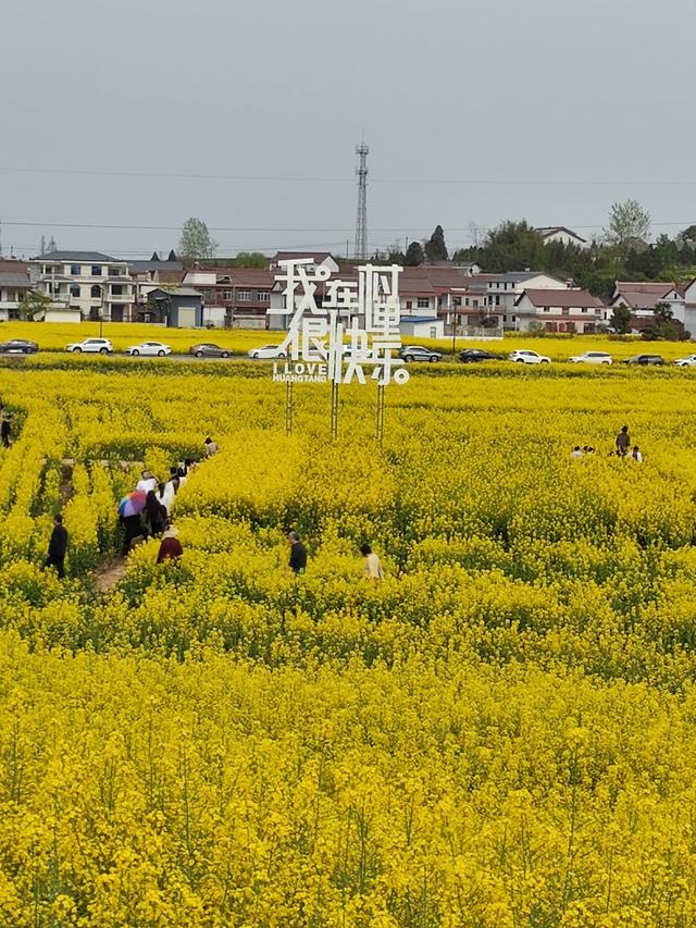 11月再见，12月你好！