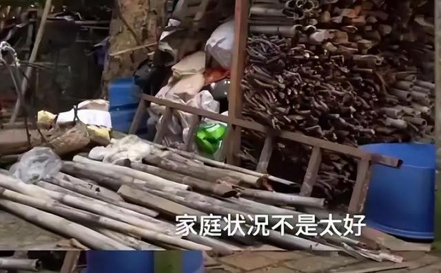 全红婵复出破圈！5个月后她用实力打脸所有质疑