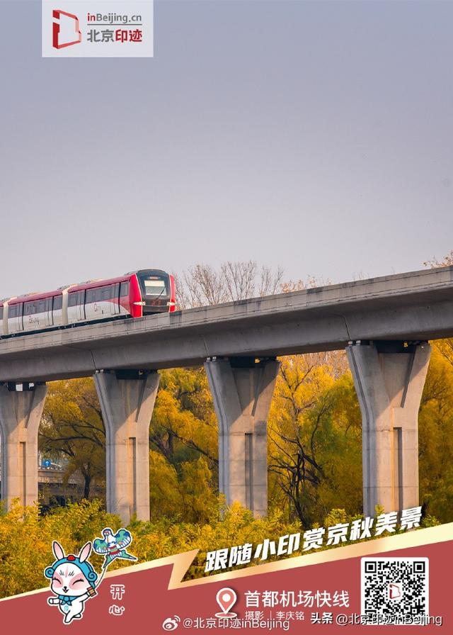 还在遗憾秋天太短暂？邀您一键保存京秋印迹
