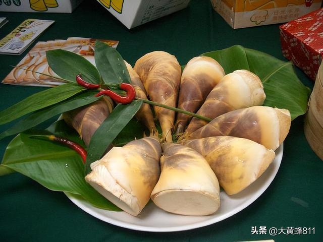 认识大美浙江的每个县——第六波：平阳