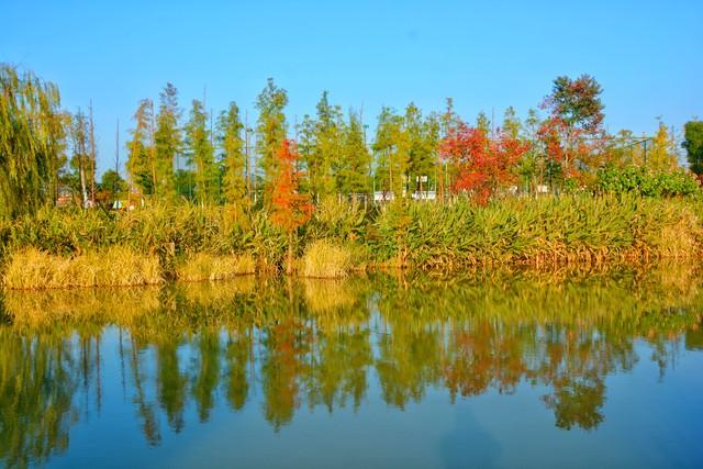 耿诚文：平湖秋色山河风光
