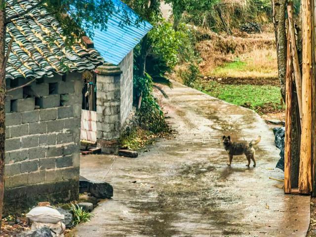 图说灌阳：山背后