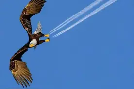 说说换手率图片