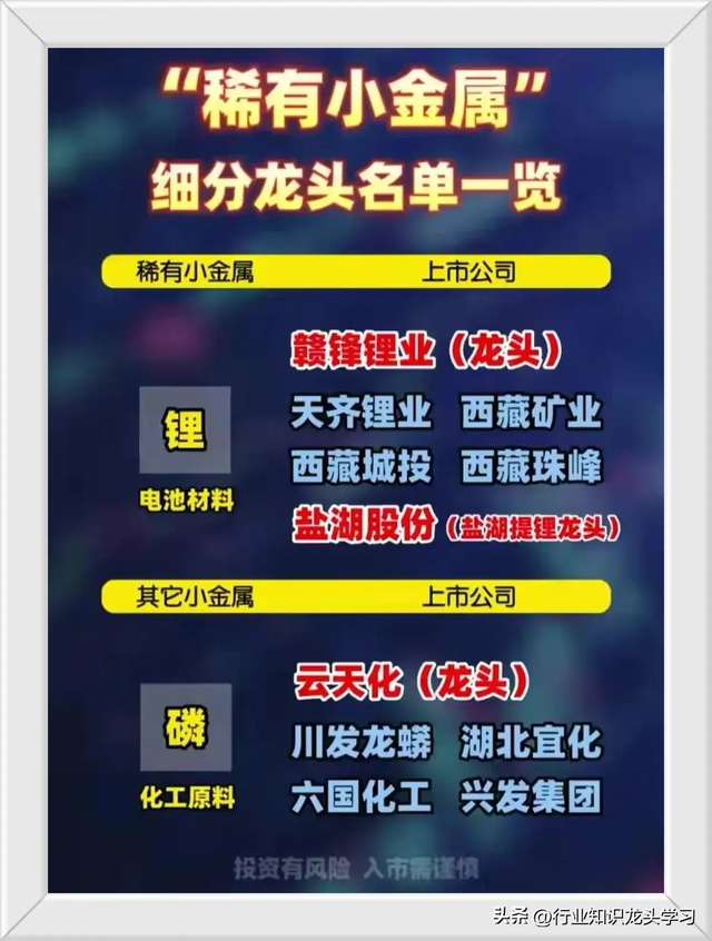 值得珍藏：国产替代科技+存储芯片+稀有小金属+智能电网+服务器等