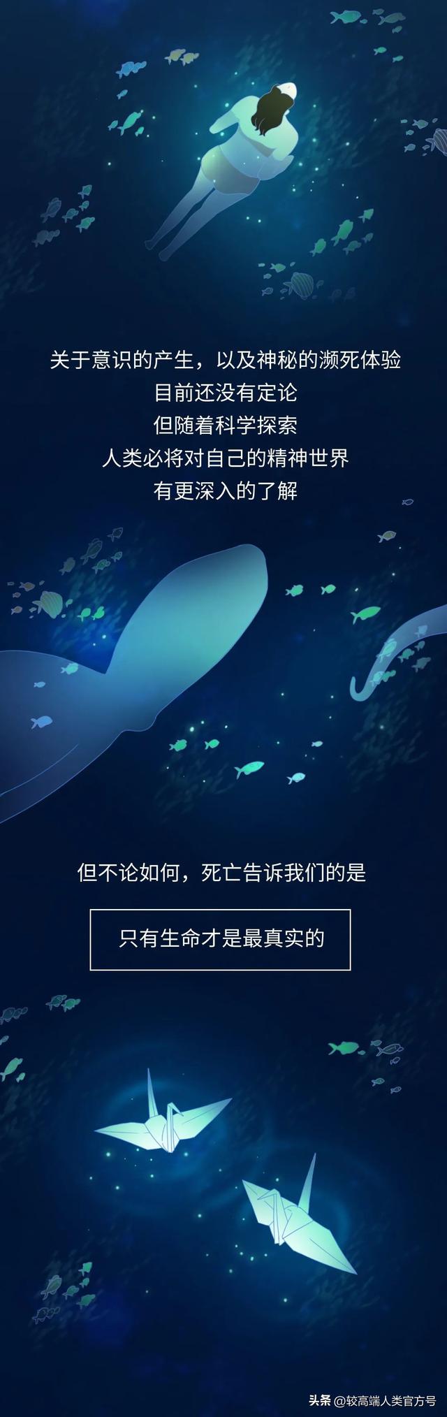 死亡前的30秒	，人会看见什么？