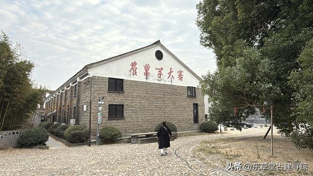 大美桐洲岛，富春江上的绿野仙踪，解锁水陆空撒野新玩法
