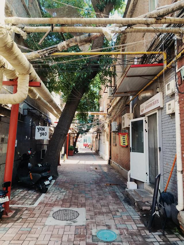 天津又一网红小景点~《兆丰路》