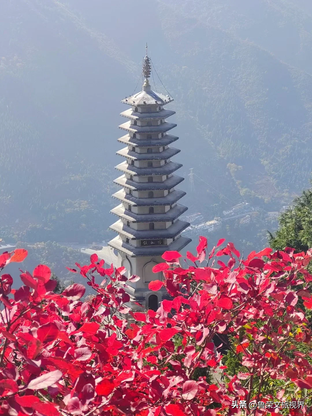 徒步三峡：霜叶漫山处，一步一千年