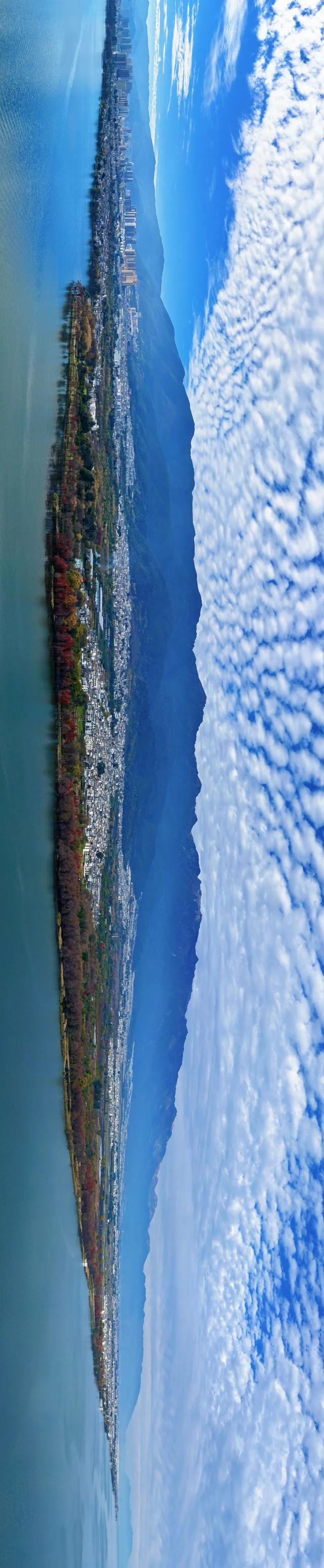 在大理，这个落叶像雪的季节