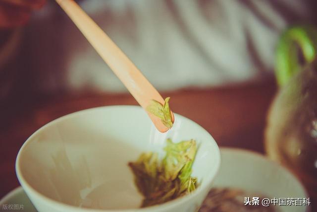 西湖龙井凭什么是绿茶中的王者！这5个点，你不得不服！