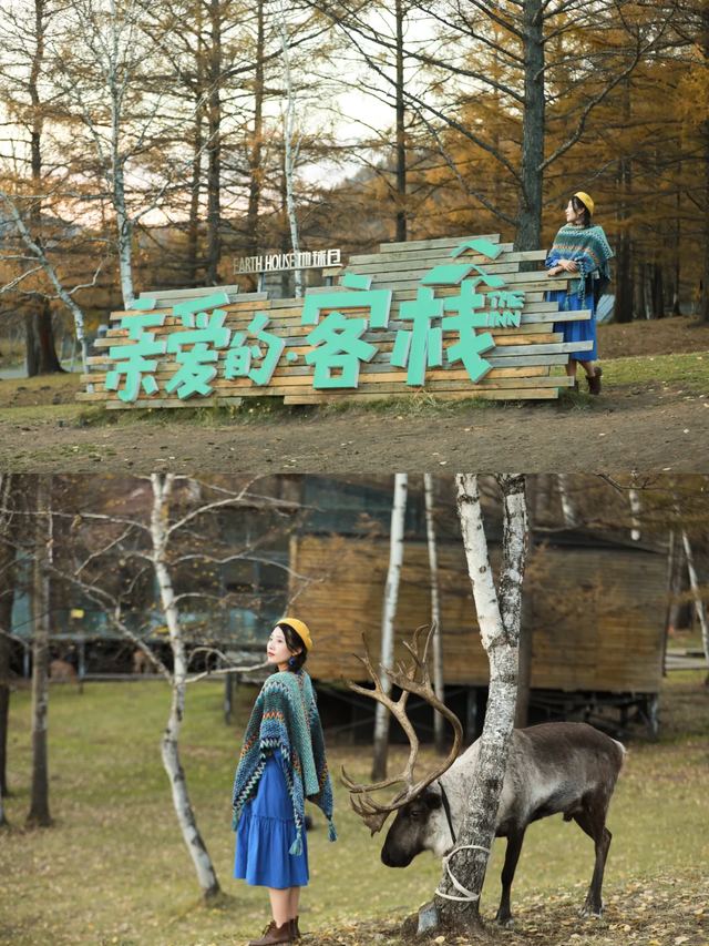 热度暴涨！“反向出行天花板”内蒙古阿尔山，你是懂玩的
