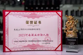 金星啤酒星耀2023河南酒业金象奖，荣膺四大奖项！图片