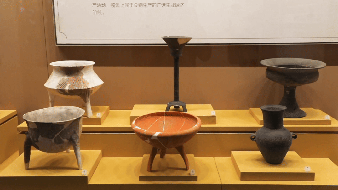 全省60家！岱岳区大汶口国家考古遗址公园入选