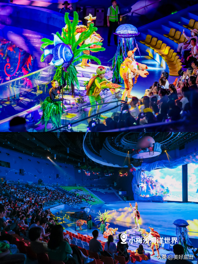 @永州朋友！小梅沙请你免费玩一整年！