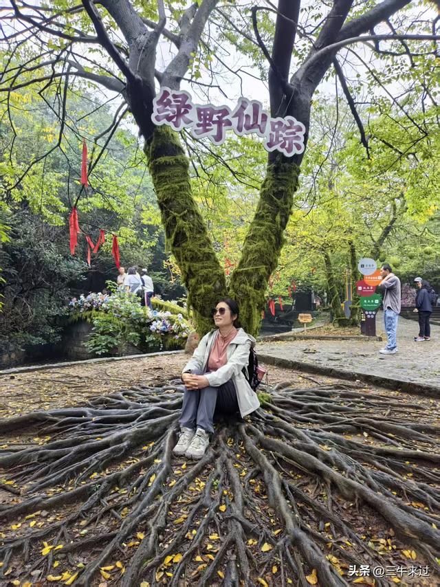 无为在歧路，国庆游淄博5