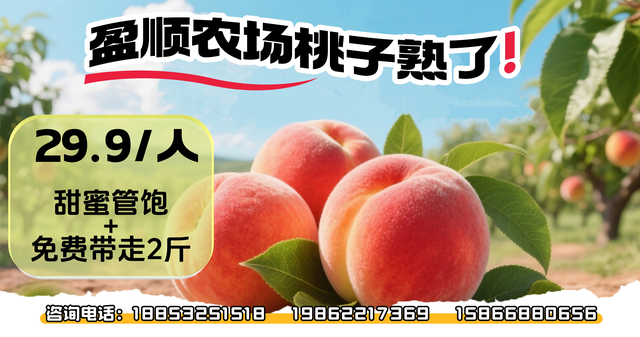 东毛西毛国庆宝藏玩法大公开，解锁田园奇妙日！